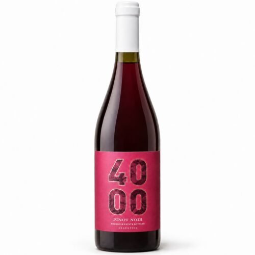 Vino Budeguer 4000 Reserva Pinot Noir 750ml