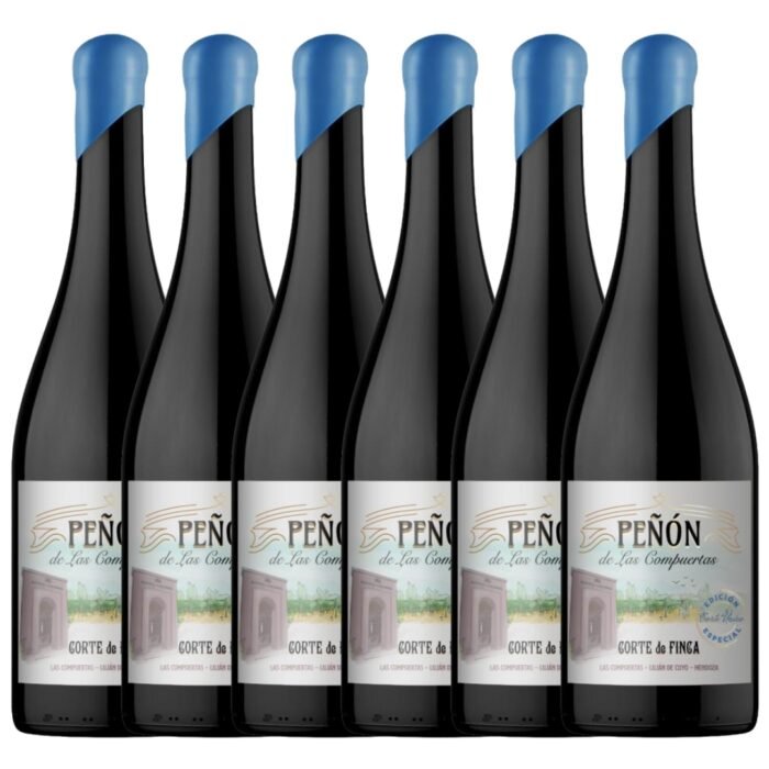 Vino Corte de Fincas Peñon de Agrelo x 6 unidades