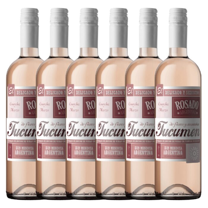Vino PLAN B Rose x 6 unidades Bodega Budeguer