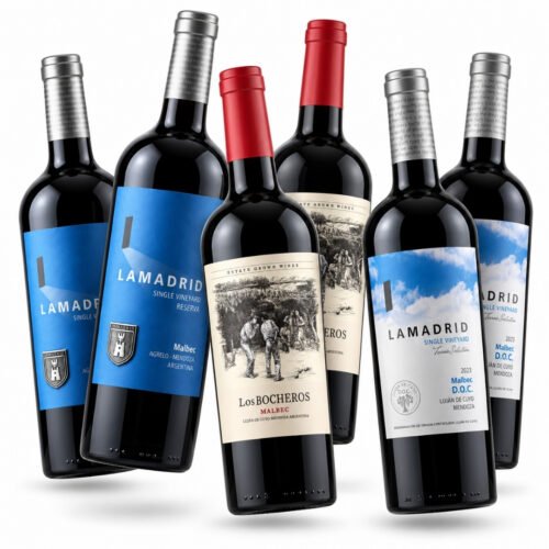Colección Lamadrid | Tres Niveles, Un Mismo Terruño