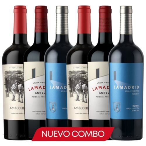 Colección Lamadrid – Tres Niveles, Un Mismo Terruño