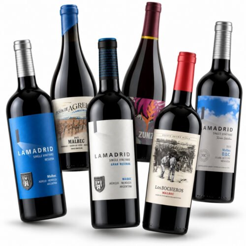 Descubrí Bodega Lamadrid en 6 Botellas
