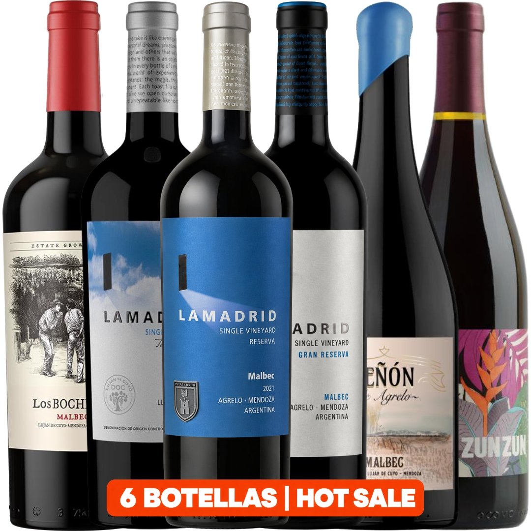 descubrí bodega lamadrid Hot Sale