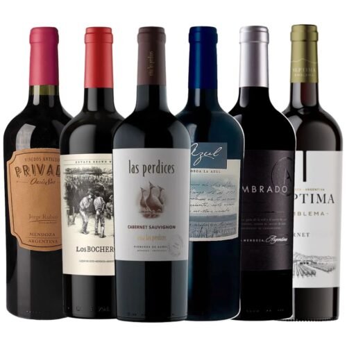 Exploración Cabernet Sauvignon Mendoza – 6 vinos, Un Solo Carácter