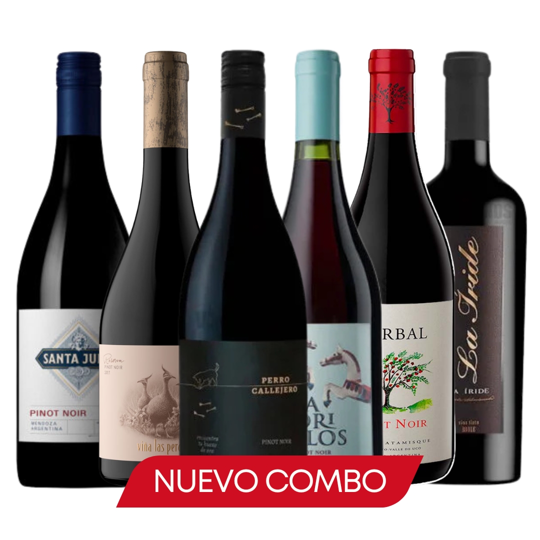 Terruños Pinot Noir Mix – Elegante y Sorprendente (Combos Junio)