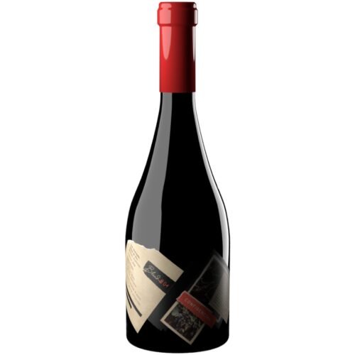 Vino Proyecto X Confidencial Blend Blanco 750ml | Blend #04