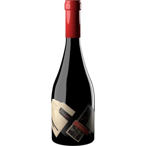 Vino Proyecto X Confidencial Blend Tinto 750ml | Blend #01