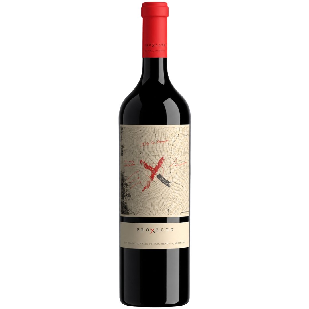 proyecto x estate malbec botella vino valle de uco