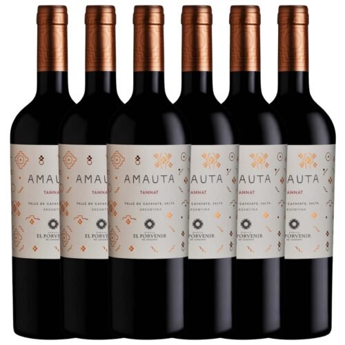 Vino Amauta Tannat Cafayate Bodega El Porvenir x6 unidades