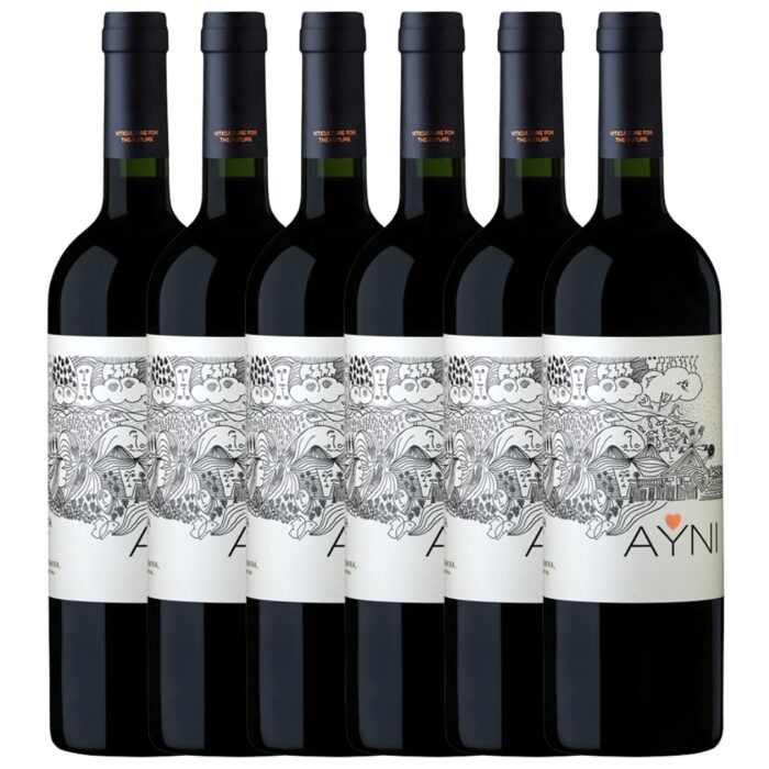 Vino Ayni Cabernet Franc Chakana x6 unidades