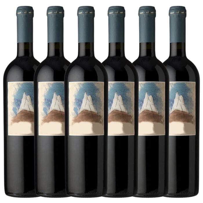 Vino Blend Tikal Corazon El Cepillo x6 unidades