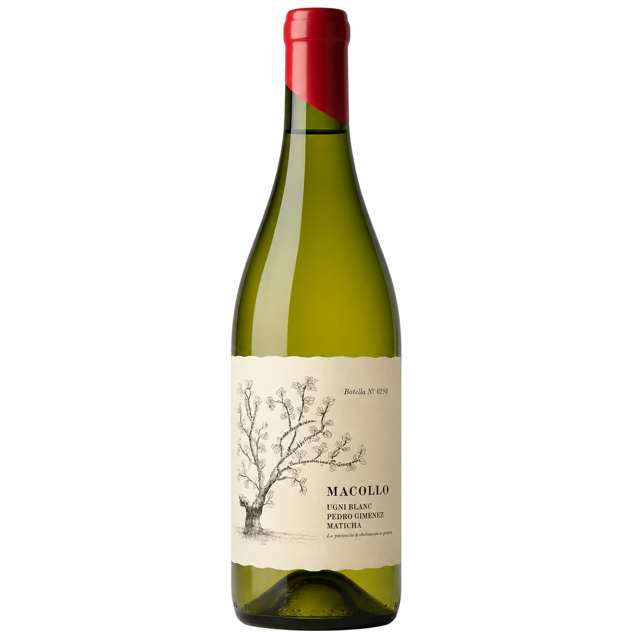 Vino Macollo Blend de Blancas 750ml Este mendocino