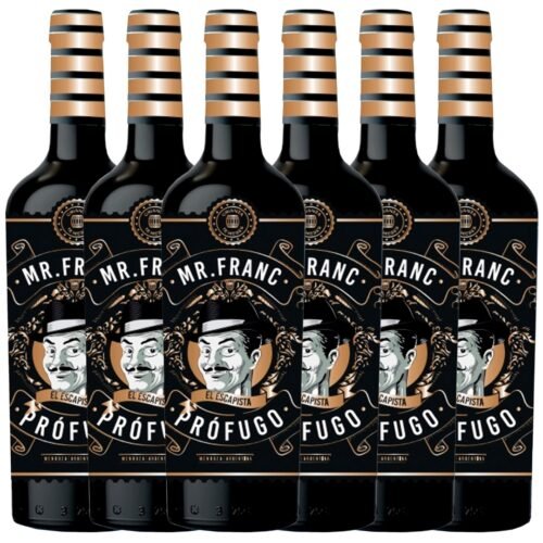 Vino Mr Frank Cabernet Franc Profugo x6 unidades