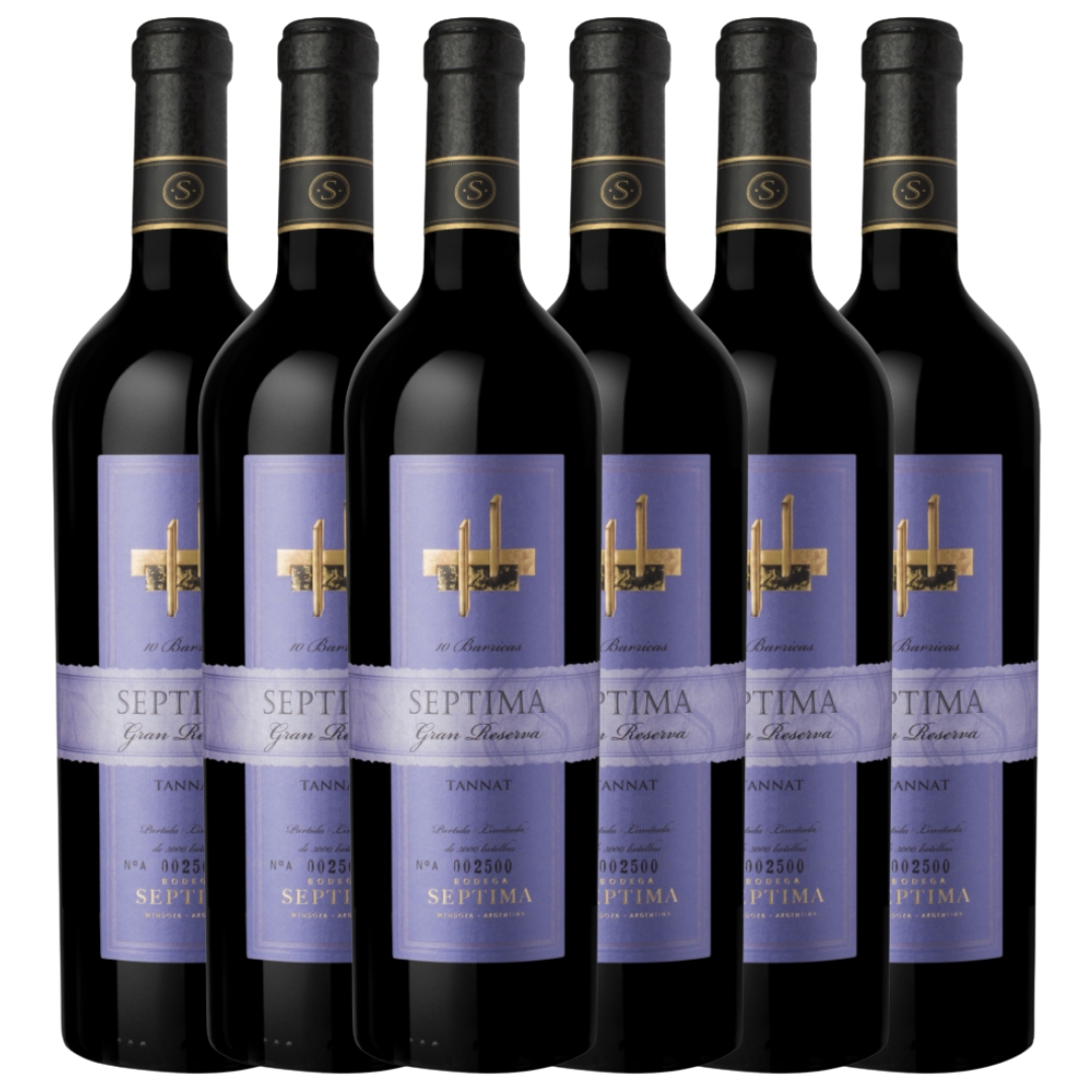 Vino Tannat 10 Barricas Septima Gran Reserva