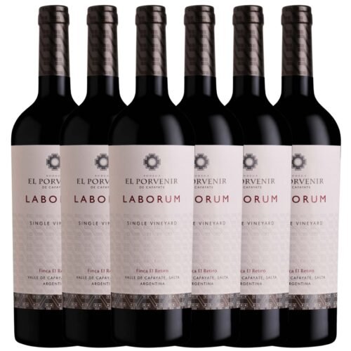 Vino Tannat Laborum Cafayate El Porvenir x6 unidades