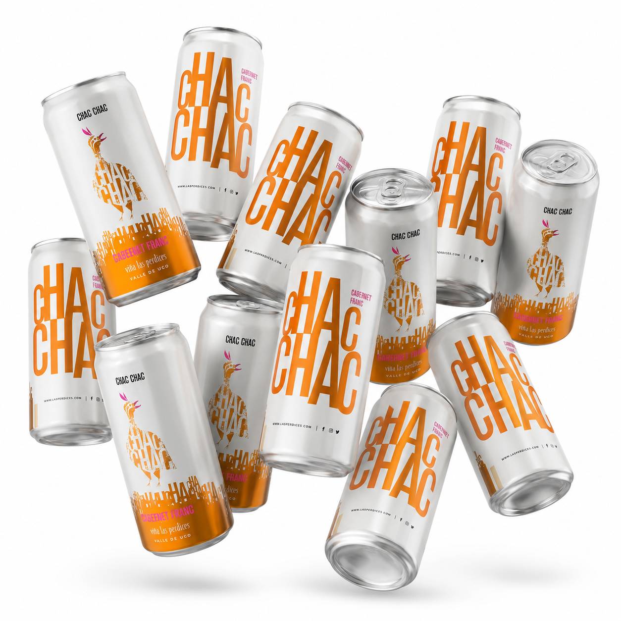 Caja Latas Chac Chac Cabernet Franc x12 269ml