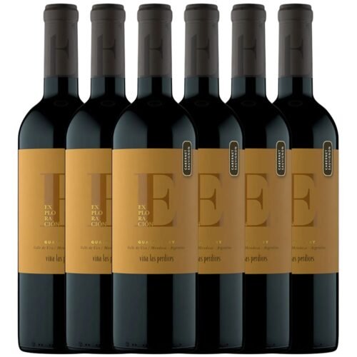 Vino Cabernet Sauvignon Exploración Gualtallary x6 unidades