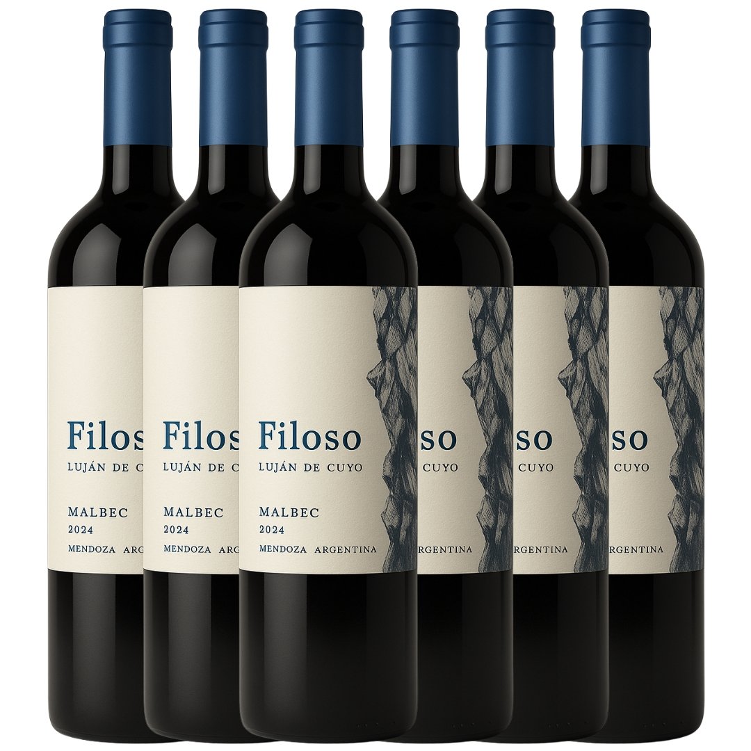 Vino Malbec Filoso x6