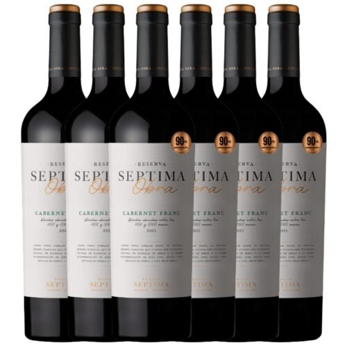 Vino Septima Obra Cabernet Franc x6 unidades