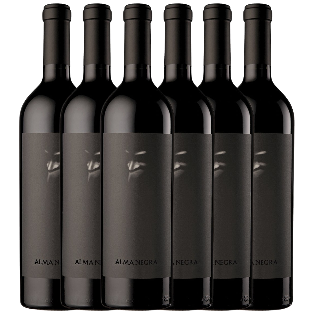Vino Tinto Blend Alma Negra x6 unidades