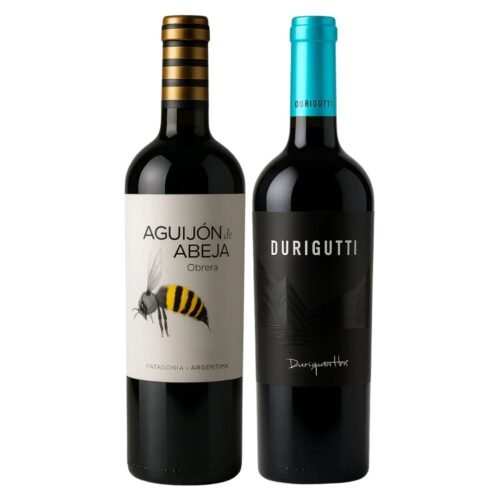 Descubrí Durigutti Winemakers Cabernet Sauvignon x 2