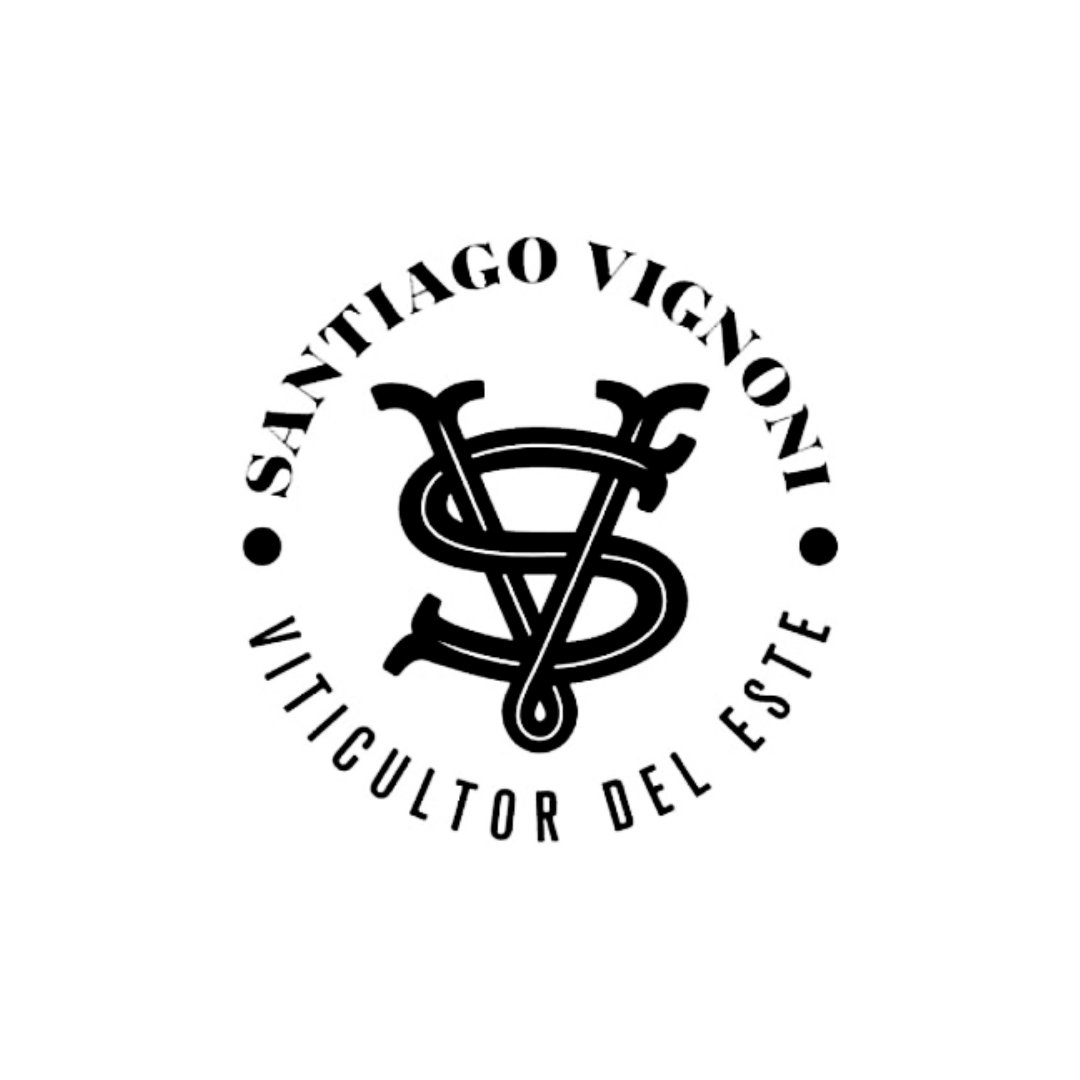 Bodega-Macollo-Wines-Santiago-Vignoni