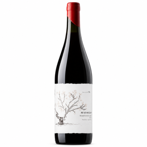 Vino Macollo Bequignol 750ml | Cepa histórica