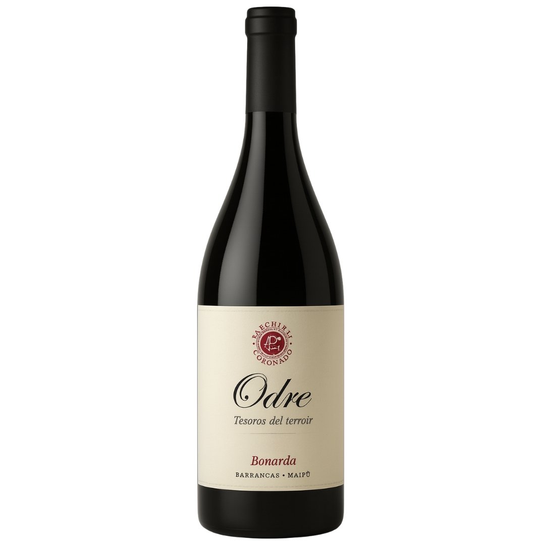 Vino Odre Bonarda Tesoros del Terroir 750ml