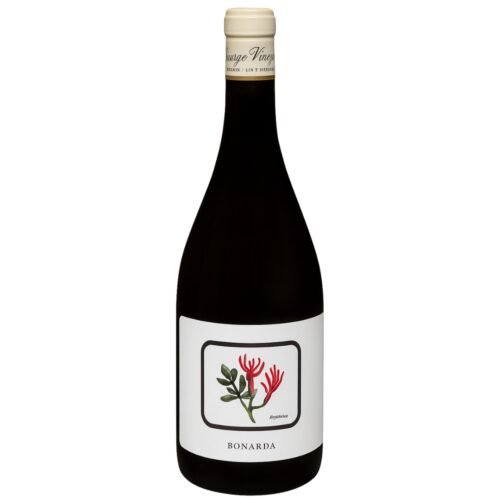 Vino Santiago Vignoni Bonarda 750ml