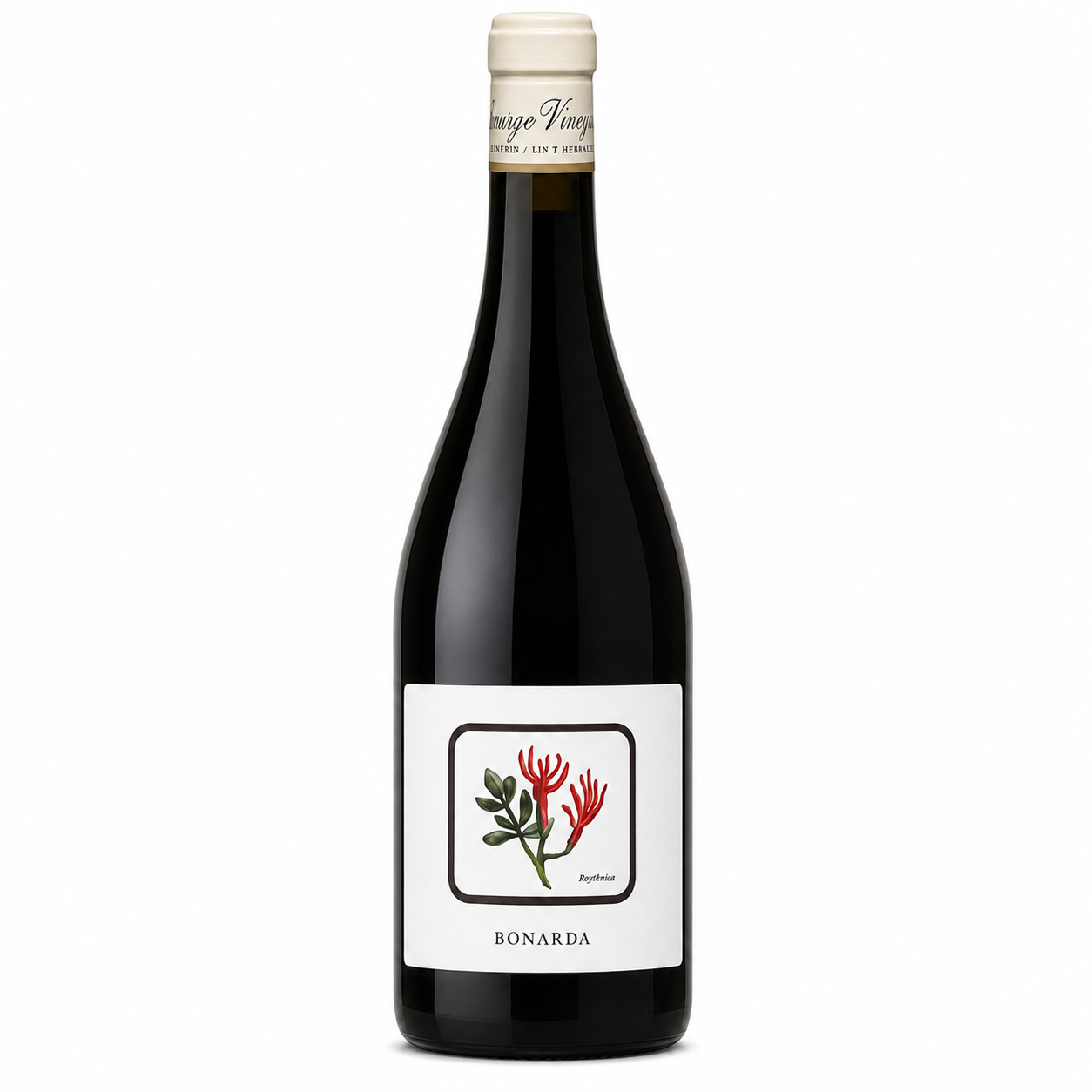 Vino Santiago Vignoni Bonarda 750ml