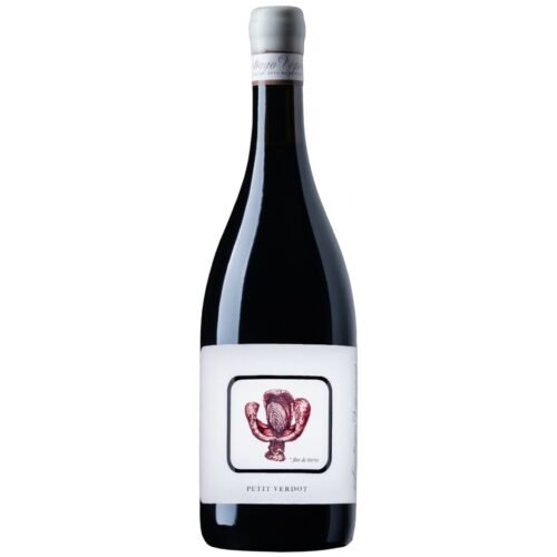 Vino Santiago Vignoni Petit Verdot 750ml