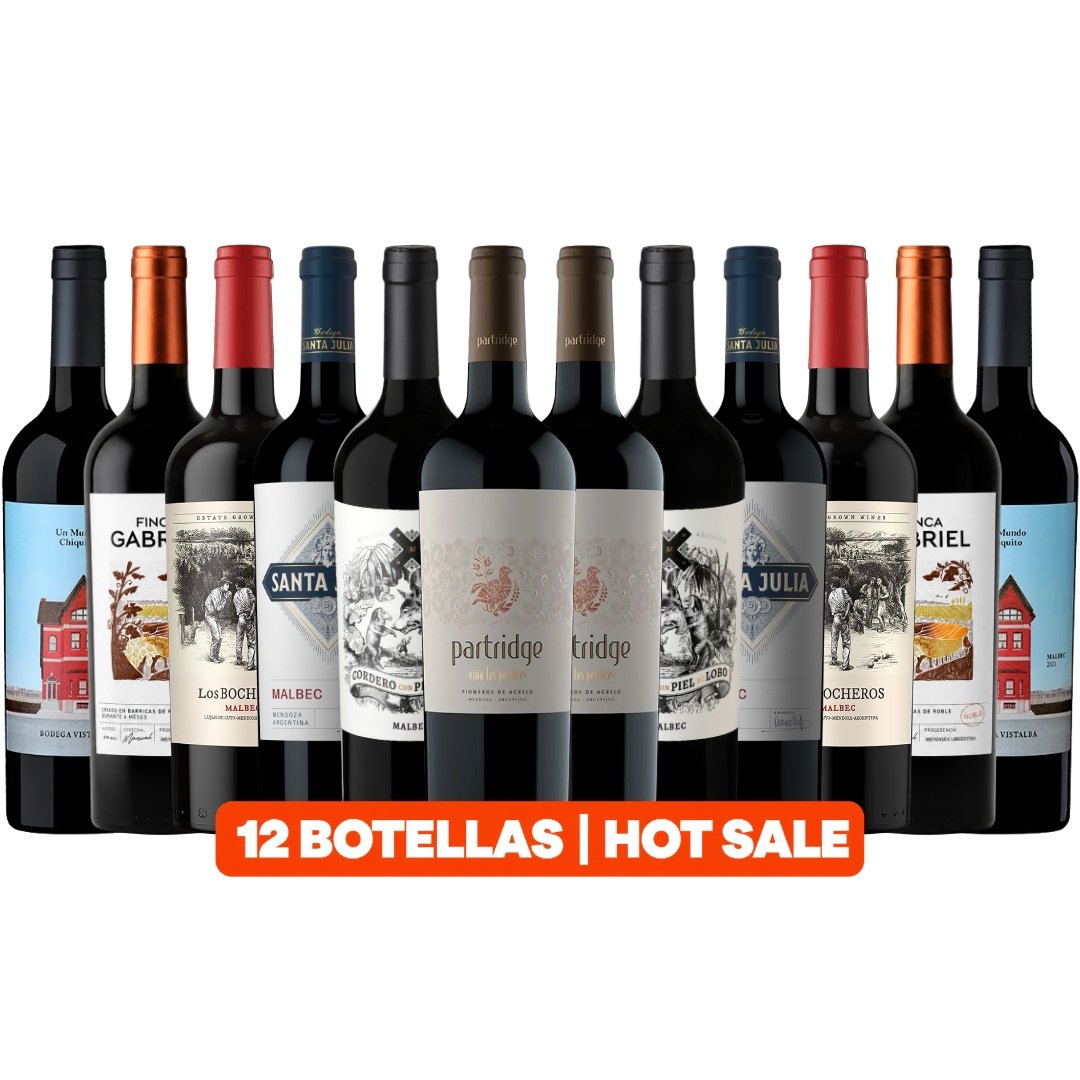 mix vinos clásicos Mendoza Hot Sale