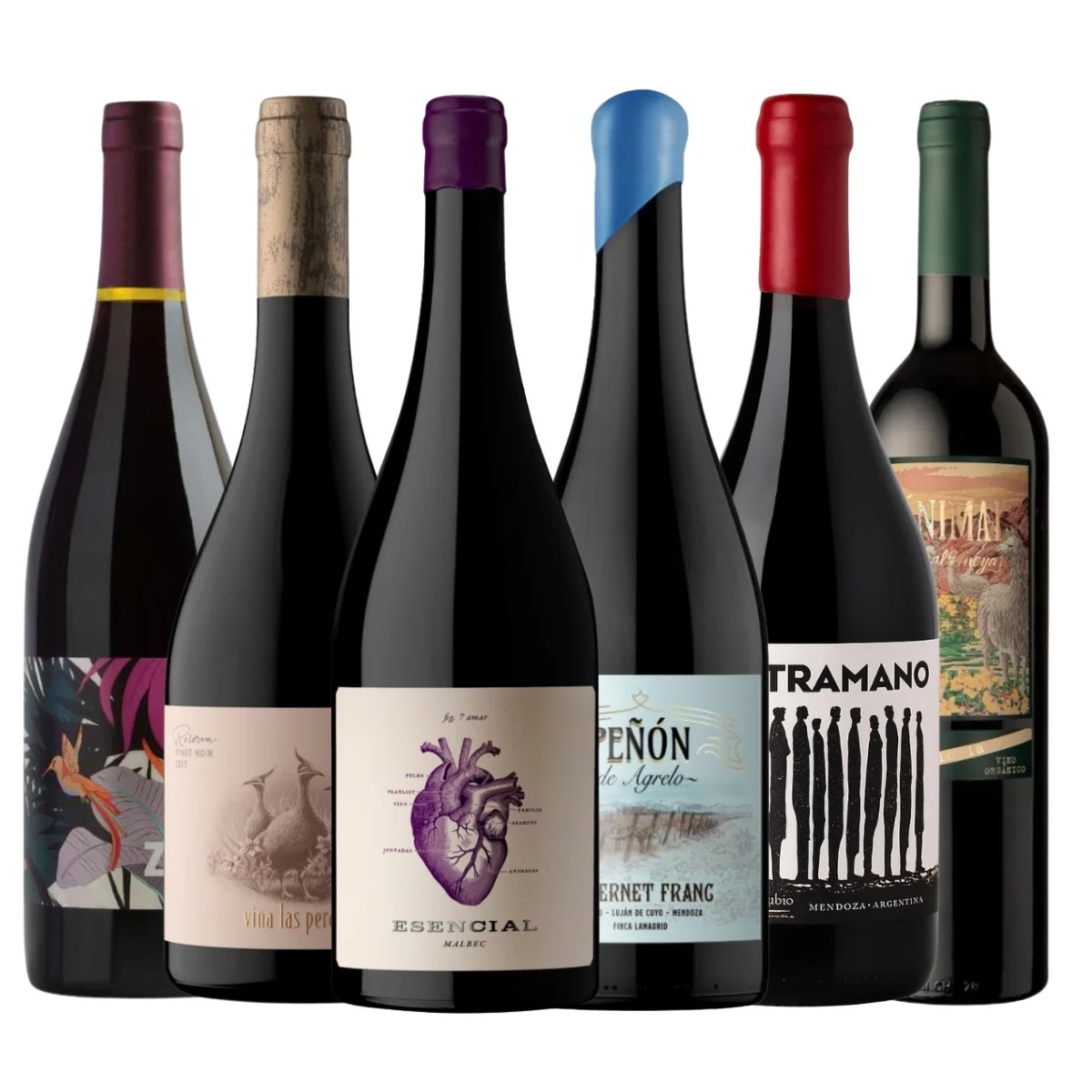 Combo Tintos de Verano Livianos, Frescos y Suaves