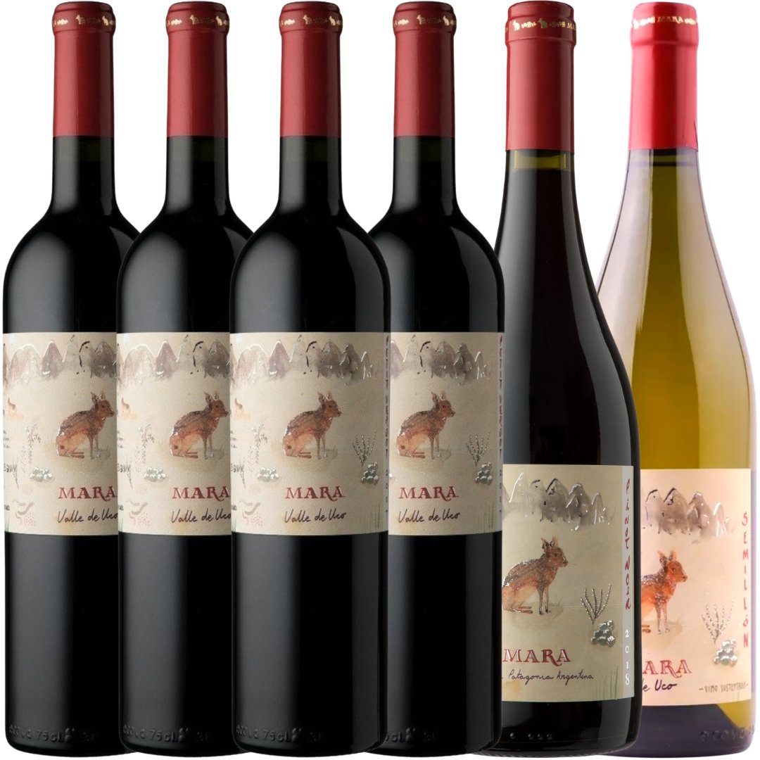 Mix Vino Mara de Uco x6 unidades