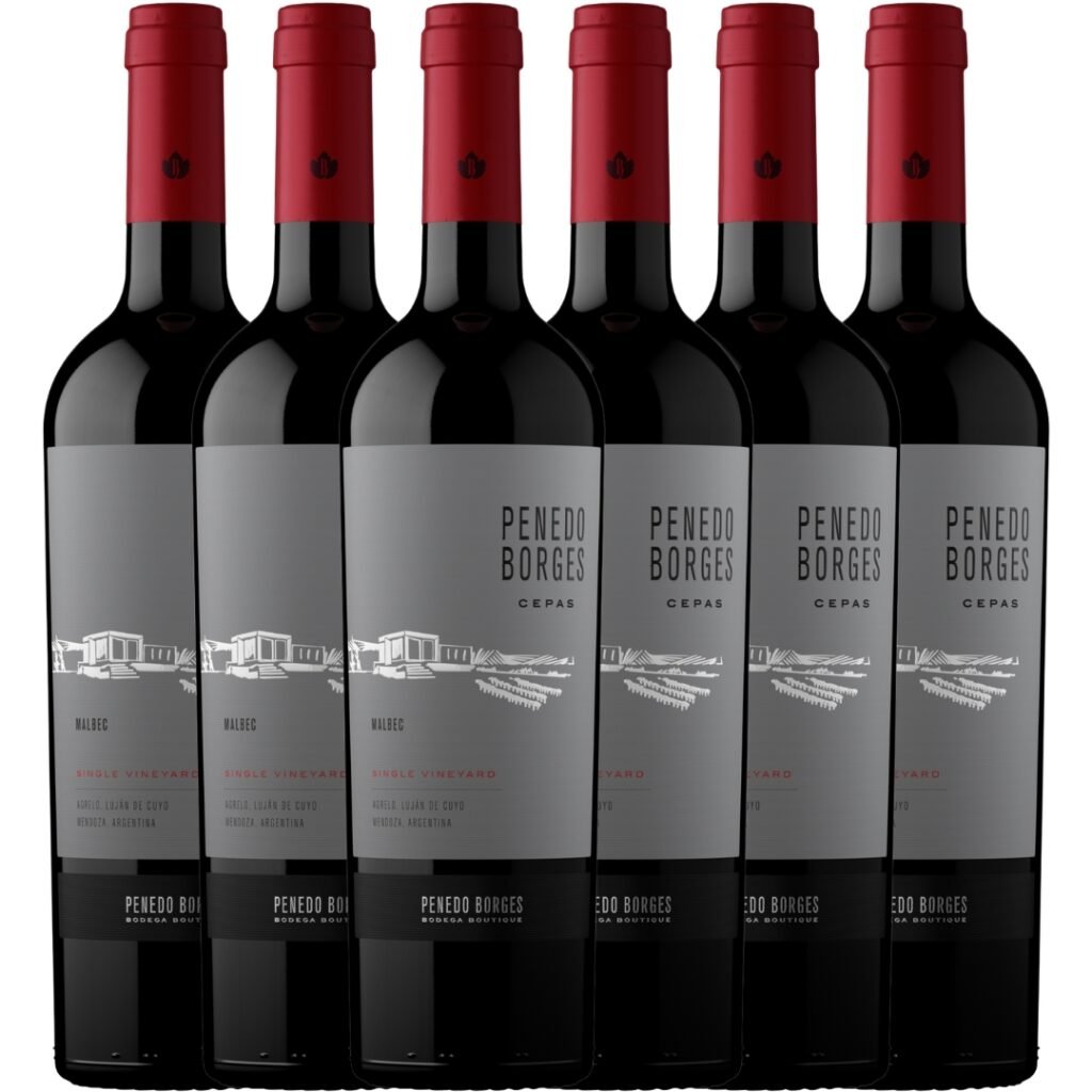 penedo borges malbec x6 caja botellas mendoza