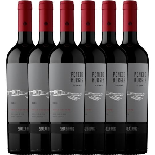 Caja Penedo Borges Cepas Malbec Single Vineyard x6