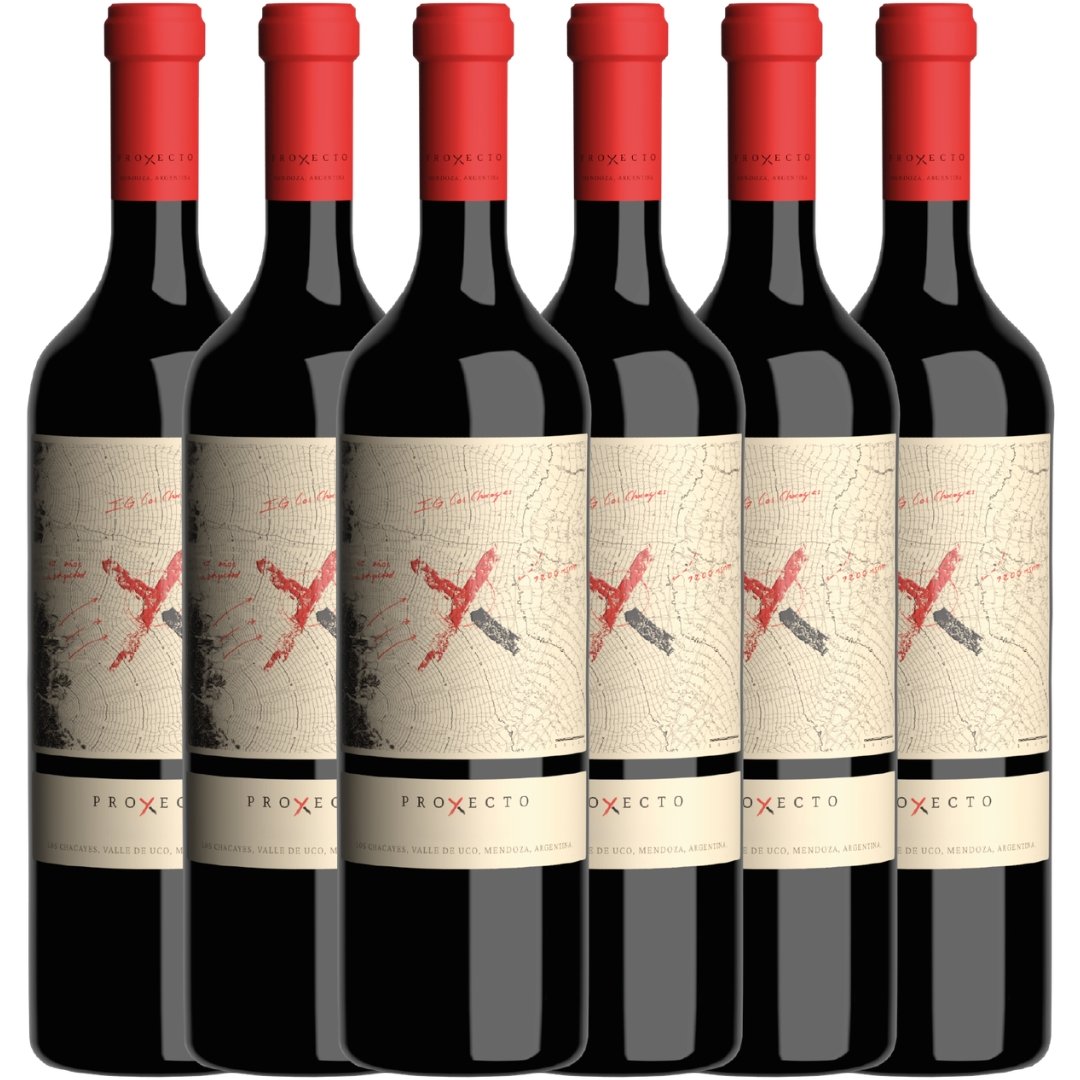 Vino Proyecto X Estate Malbec x6 unidades
