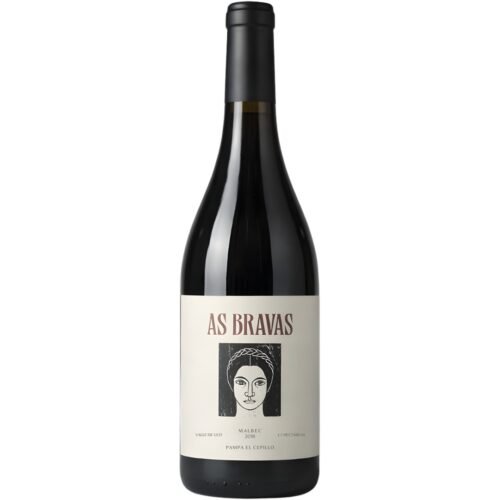 Vino El Enemigo As Bravas Malbec 2018 | 100 Puntos Parker