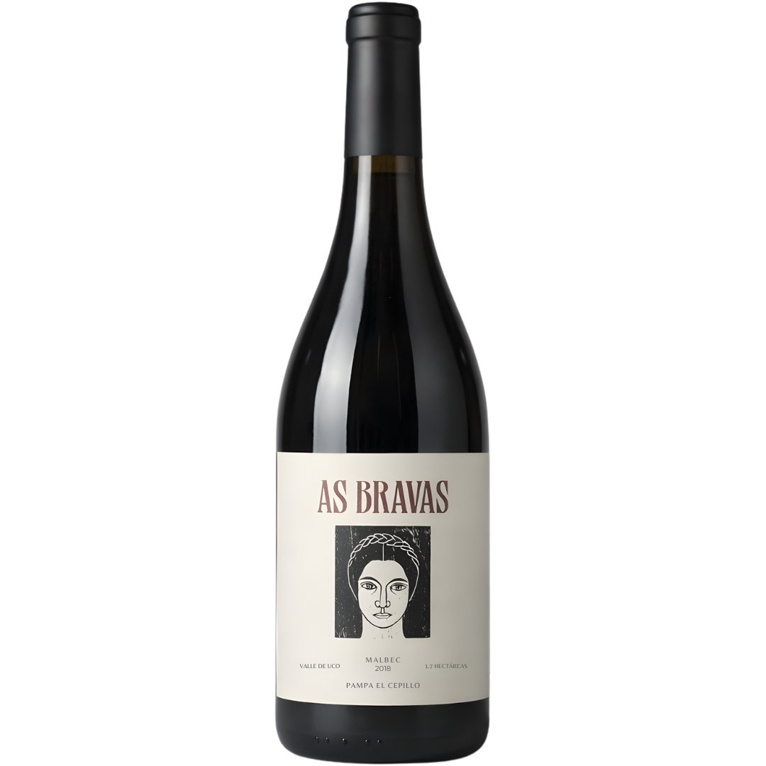 vino as bravas malbec 2018 el enemigo 100 puntos parker