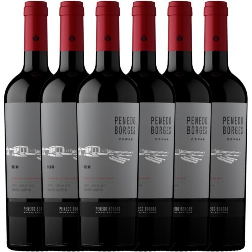 Caja Penedo Borges Cepas Blend Single Vineyard x6