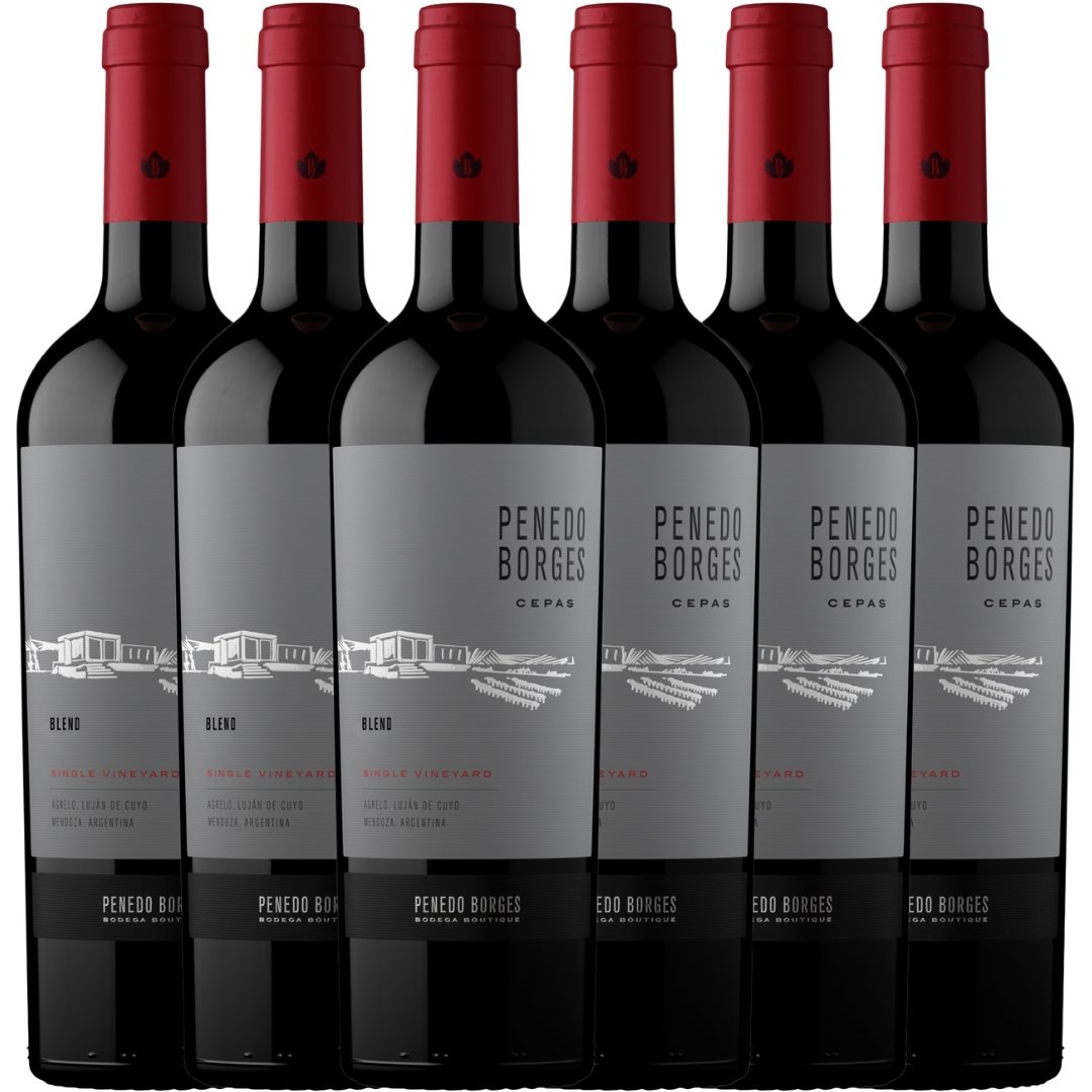 penedo borges blend x6 caja botellas mendoza
