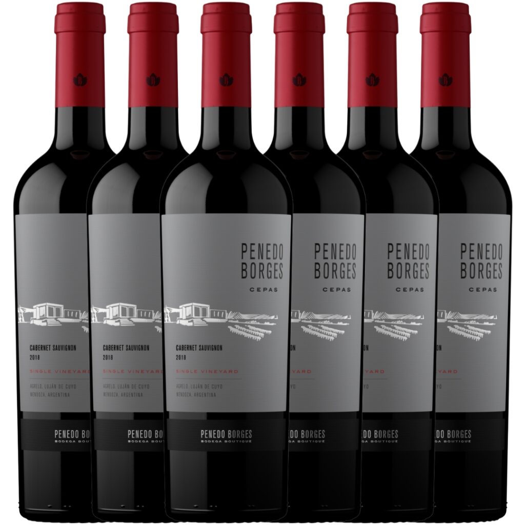 penedo borges cabernet sauvignon x6 caja botellas mendoza