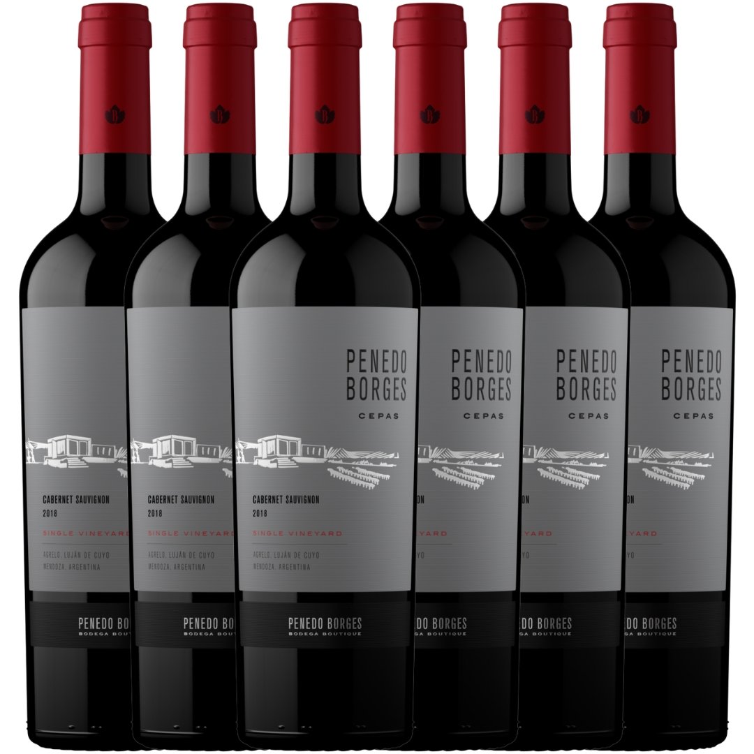 penedo borges cabernet sauvignon x6 caja botellas mendoza
