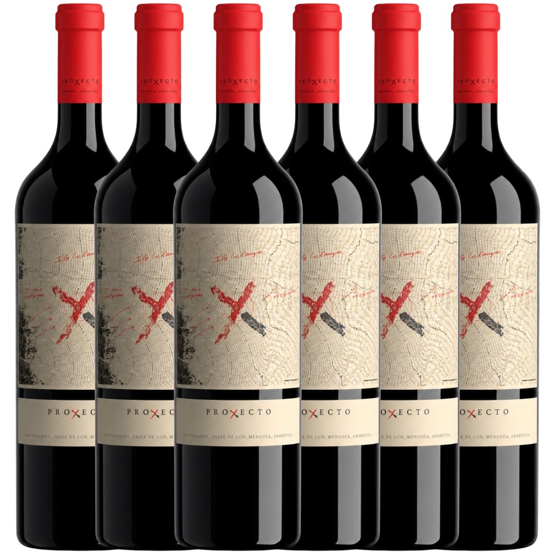proyecto x estate blend de tintas x6 caja vino mendoza