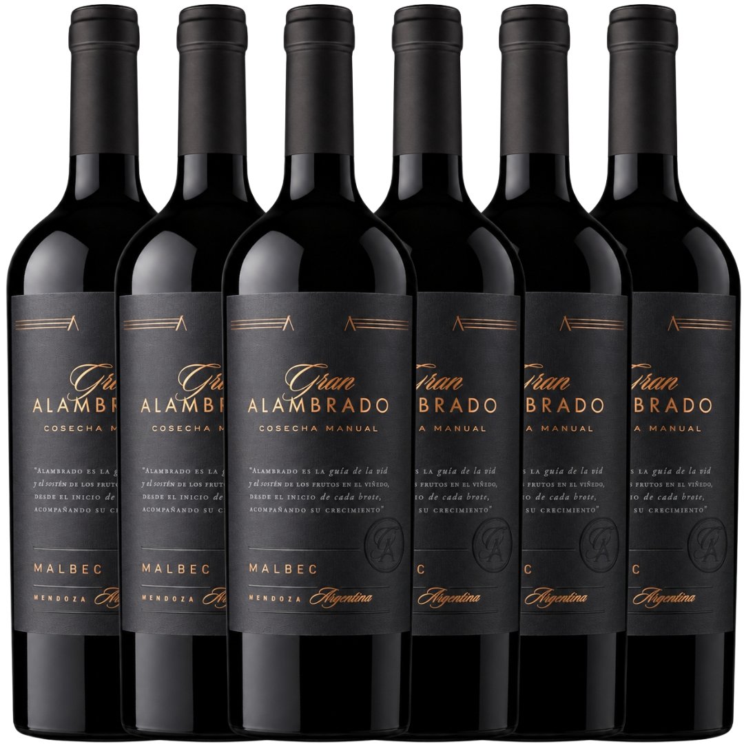 Caja x6 Gran Alambrado Malbec