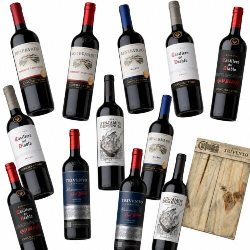 Mega Mix Vinos Jovenes 12 Botellas | Selección Clasica