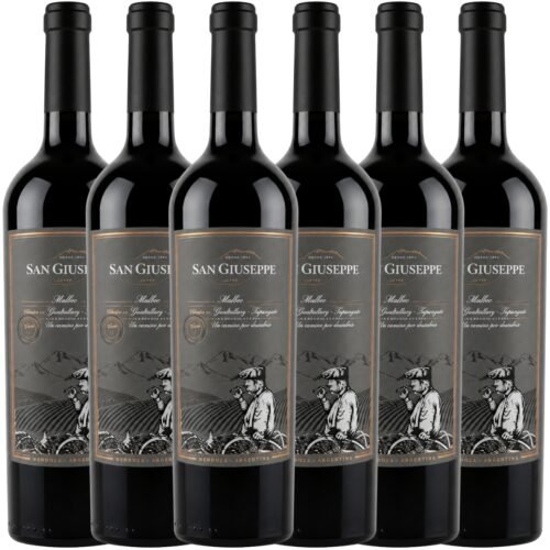 Caja Mastroeni San Giusseppe Malbec x6 | 750ml