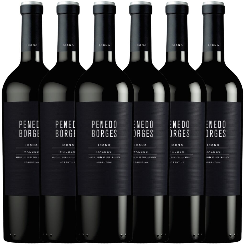 Caja Penedo Borges Ícono Malbec x6 Alto Agrelo