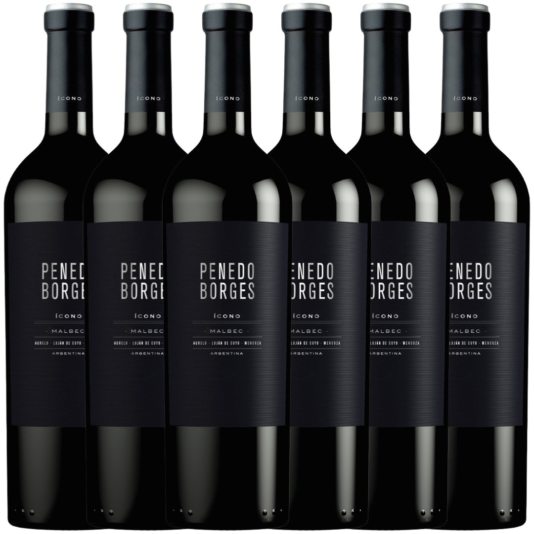 Caja Penedo Borges Ícono Malbec x6 Alto Agrelo