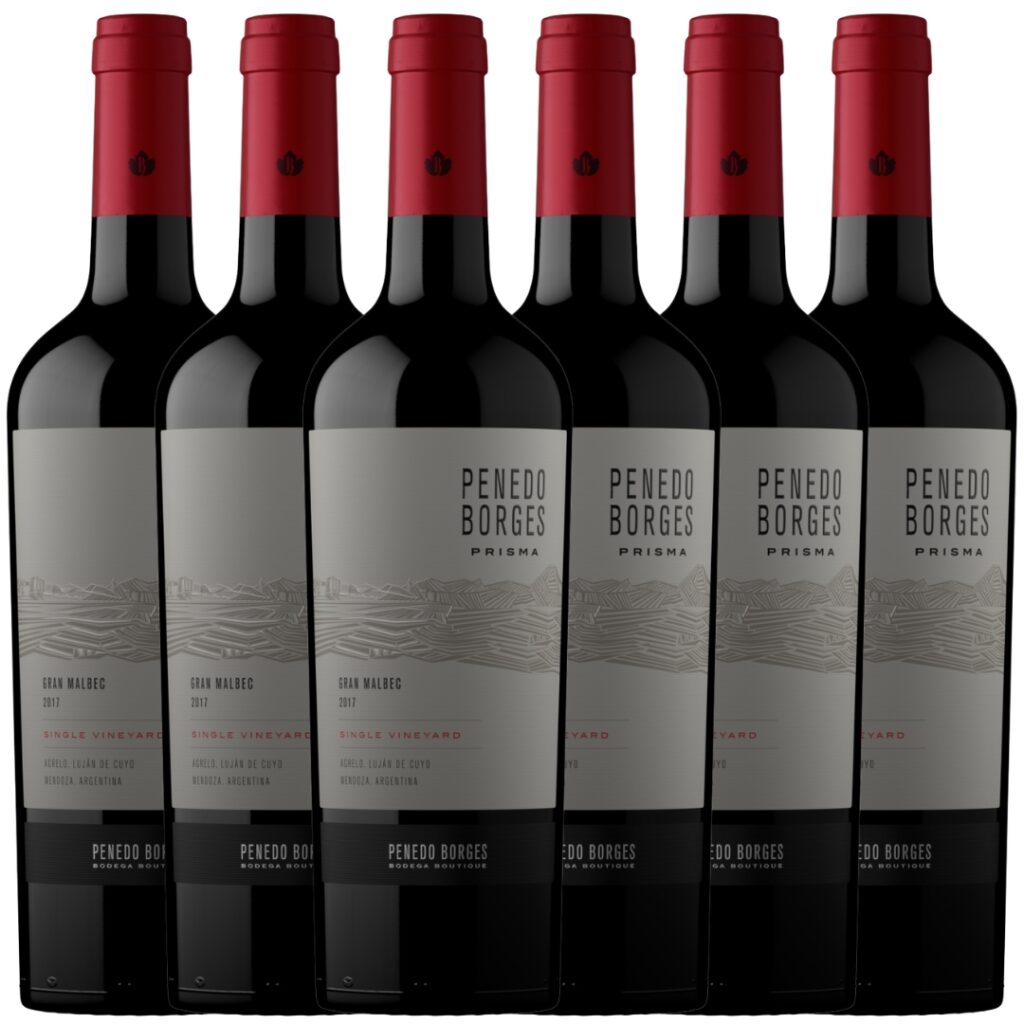 Caja Penedo Borges Prisma Gran Malbec x6